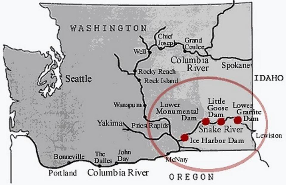 Four hydroelectric dams on the Snake River in Eastern Washington are proposed to be removed or breached to improve salmon runs.