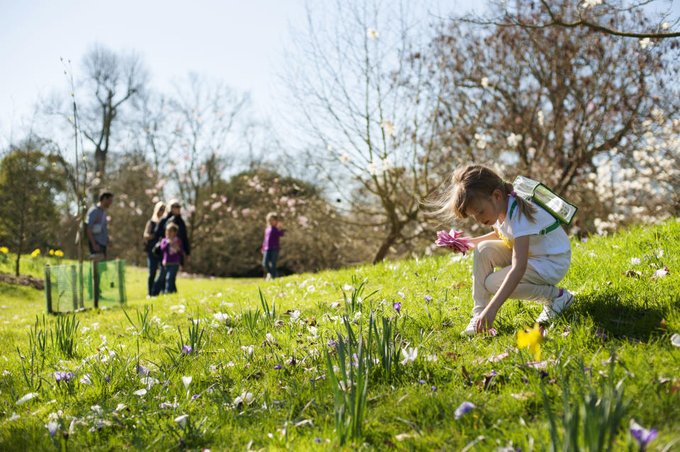 Kids can go free to Kew Gardens this summer. Getty Images