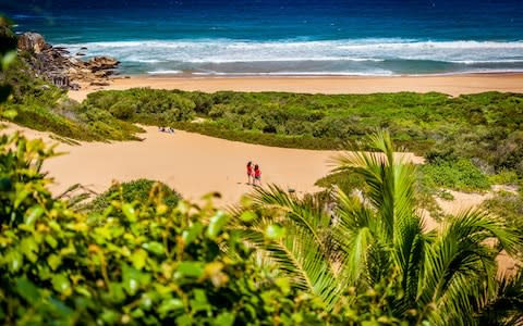 Palm Beach, Sydney - Credit: © Peter Pesta/Peter Pesta Photography