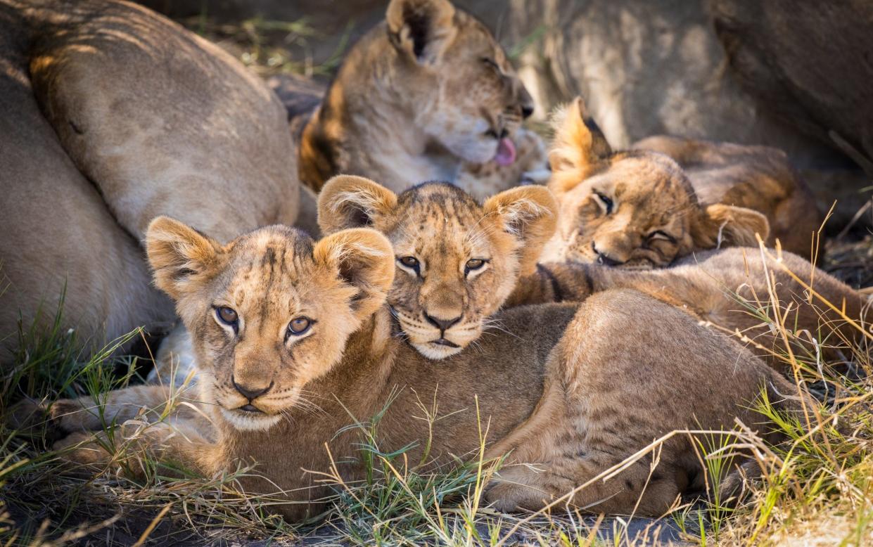 Great Plains Conservation Experiences and wildlife sightings