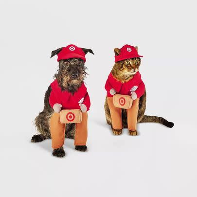 A Target delivery costume