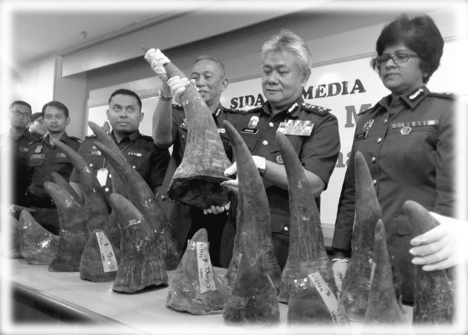 Kuala Lumpur International Airport (KLIA) customs director Hamzah Sundang (2nd R) poses with rhino horns that were seized on April 7 from Mozambique to Kuala Lumpur via Doha, during a news conference at the airport in Sepang, Malaysia April 10, 2017. (Photo: Rozanna Latiff/Reuters; digitally enhanced by Yahoo News)