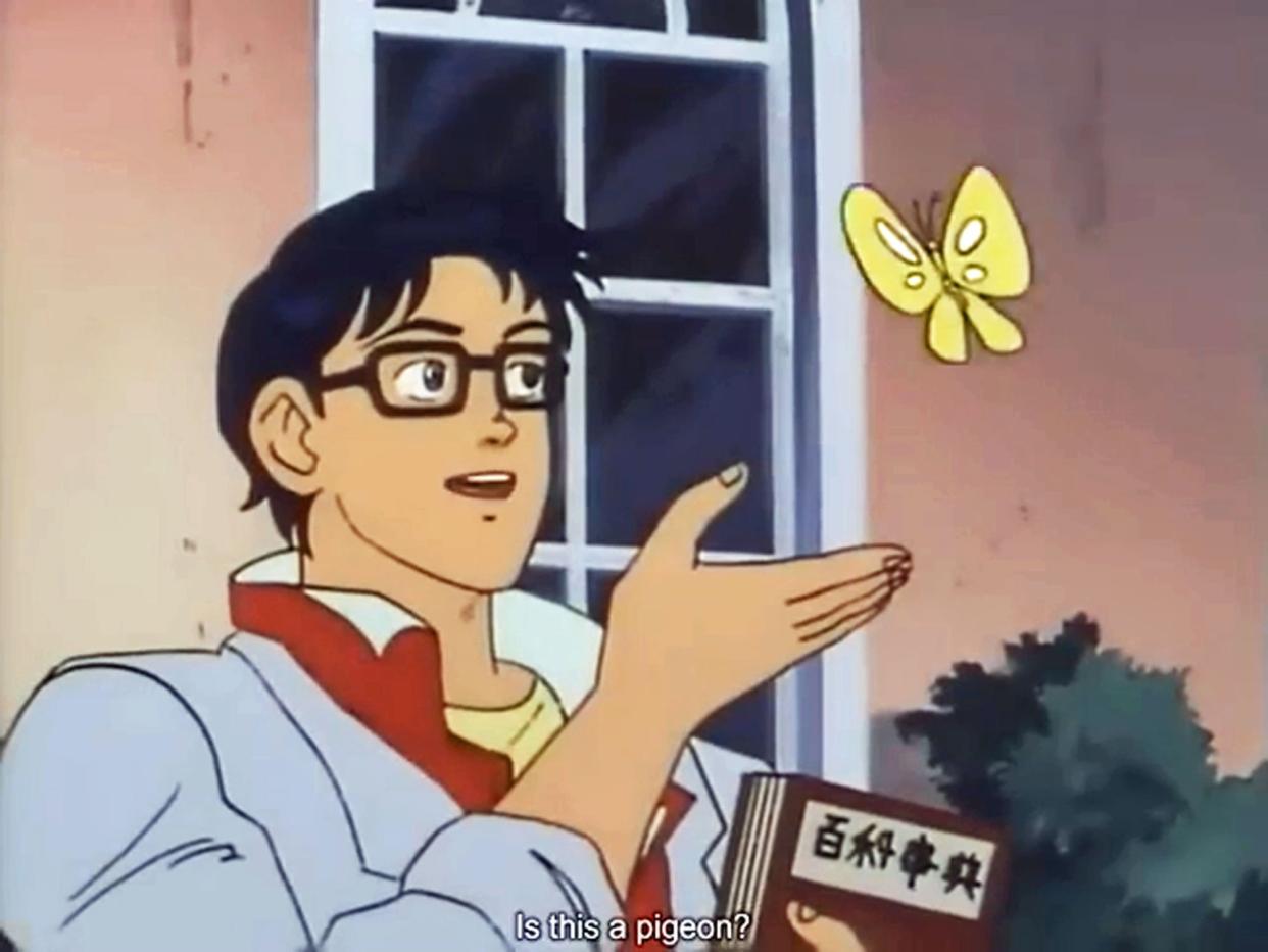 is this a pigeon butterfly anime meme