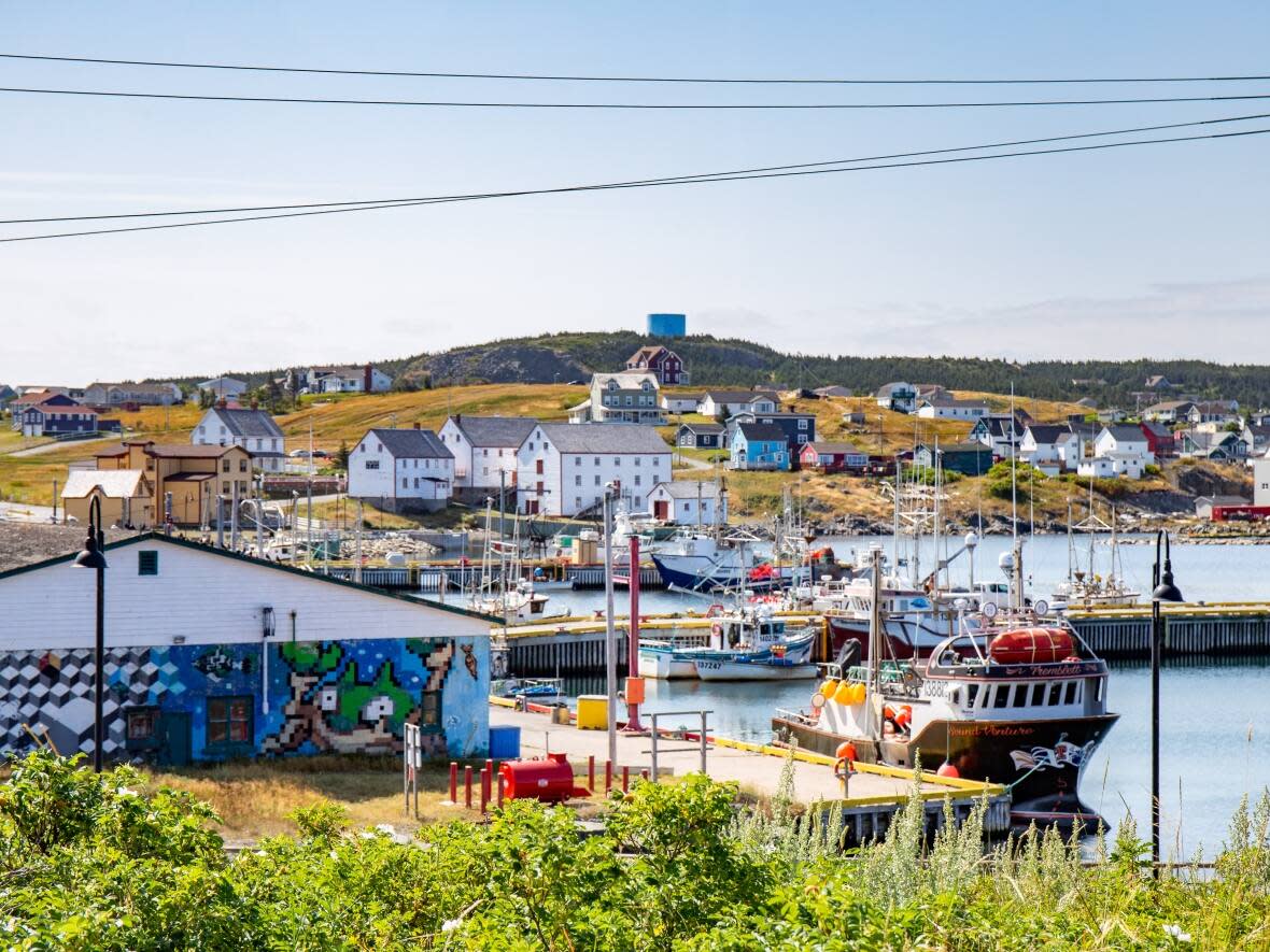 Bonavista is popular tourism destination but the town is hoping to put a freeze on short-term rentals to help free up housing for residents.  (Lindsay Bird/CBC - image credit)