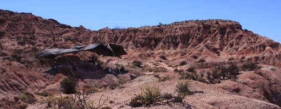 The fossil site in Patagonia where the new dinosaur was discovered.