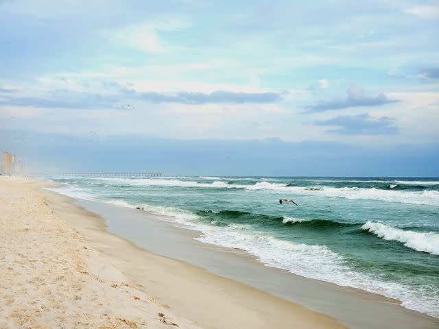 <p>Getty</p> Panama City Beach, Florida