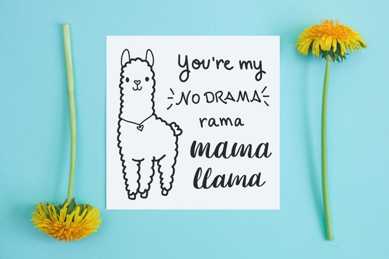 card and dandelions on blue background. card reads, "you're my no drama rama mama llama"