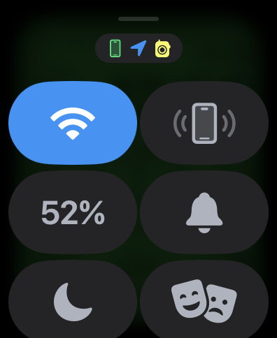 Screenshot of quick access menu with WatchOS 9 on Apple Watch Series 8.