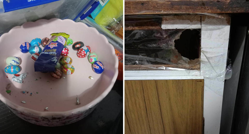 A photo of the remainder of the chocolate easter eggs in a bowl at the Sydney woman's rental, before they were all taken by the rat. A photo of the hole in the tape the woman put on the gap in the kitchen bench, where the rat snuck through.