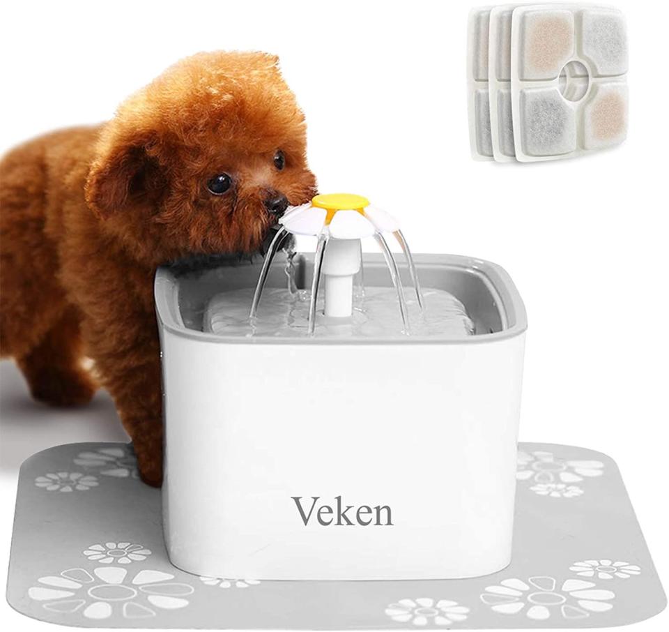 Veken Water Fountain