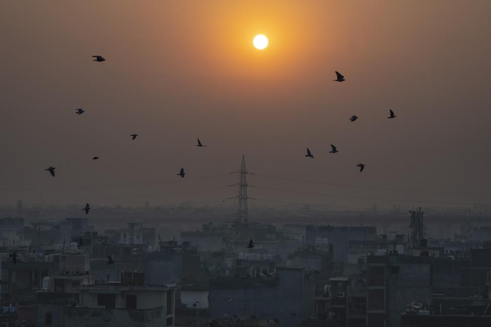 FILE - Birds fly in the foreground of rising sun as morning haze envelops the skyline in New Delhi, India, Oct. 25, 2022. Thick, smoky air from Canadian wildfires made for days of misery in New York City and across the U.S. Almost the entire world breathes air that exceeds the World Health Organization's air-quality limits at least occasionally. (AP Photo/Altaf Qadri, File)