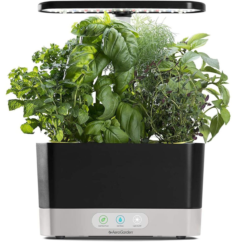 <p><strong>AeroGarden</strong></p><p>amazon.com</p><p><strong>$84.95</strong></p><p><a href="https://www.amazon.com/dp/B08XPXZHXX?tag=syn-yahoo-20&ascsubtag=%5Bartid%7C10054.g.36716381%5Bsrc%7Cyahoo-us" rel="nofollow noopener" target="_blank" data-ylk="slk:Buy;elm:context_link;itc:0;sec:content-canvas" class="link ">Buy</a></p><p><strong>Save 43% with Prime</strong></p><p>Never underestimate the impact of an endless supply of fresh herbs and greens.</p>