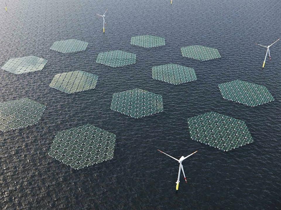 SolarDuck is working on an offshore floating solar project in the North Sea (SolarDuck)