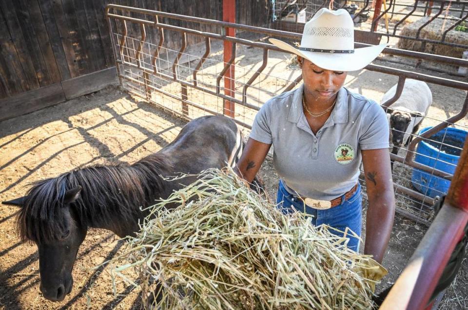 Rizpah Bellard, owner of Nova Farming, brings hay out to her pony Titan in a pen on the property of an independent living home she operates in west Fresno on Thursday, Aug. 1, 2024.