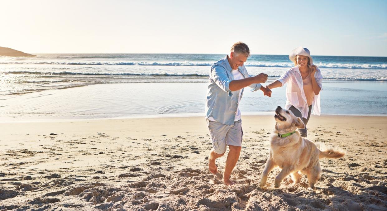 There are new rules to follow if you want to take your dog abroad this year (Getty)