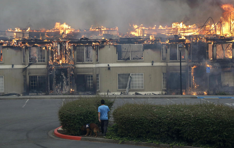 Rudy Habibe, from Puerto Rico, and his service dog Maximus walk toward a burning building at the Hilton Sonoma Wine Country hotel in Santa Rosa, on Monday as the fires burn. (AP Photo/Jeff Chiu)