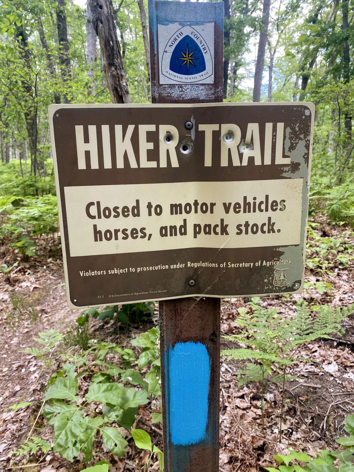 A North Country Trail sign in the Manistee National Forest