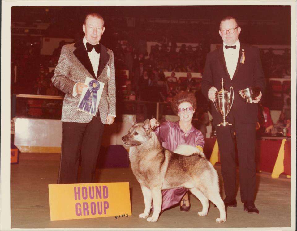 Patricia Trotter at the 1979 Westminster Kennel Club show with Hound Group winner, Ch. Vin-Melca's Nimbus, a Norwegian Elkhound owned by Patricia V. Craige & Harold Shuler.