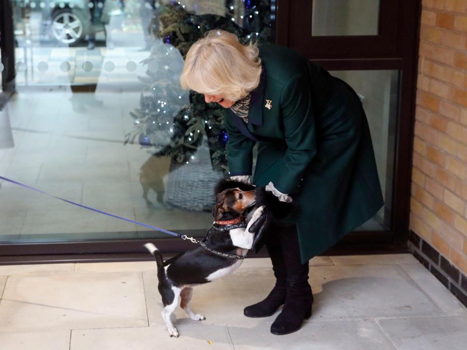 Camilla Duchess of Cornwall with her dog Beth