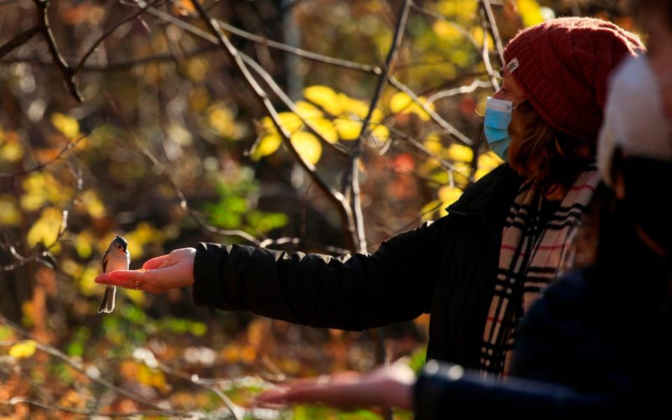 Bird watchers feed Tufted Titmouse birding tour of Central Park in New York - AFP