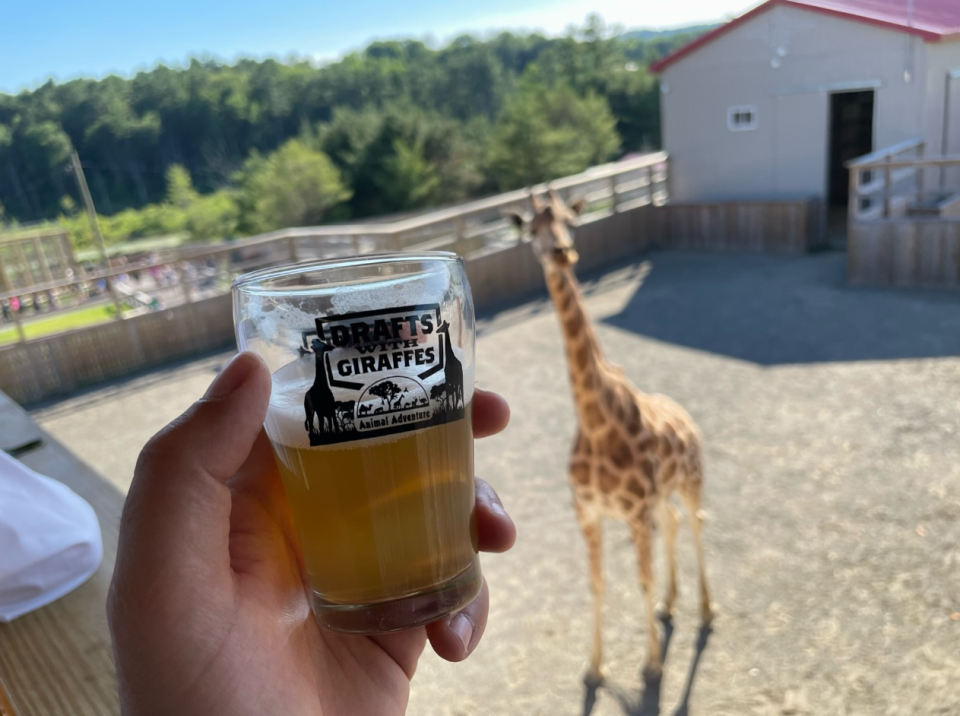 Drafts With Giraffes will be held June 24 at Animal Adventure Park in Harpursville.