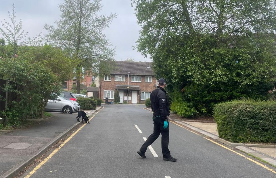 A police sniffer dog sweeps through the streets around the police cordon in Hainault (Samuel Montgomery/PA Wire)