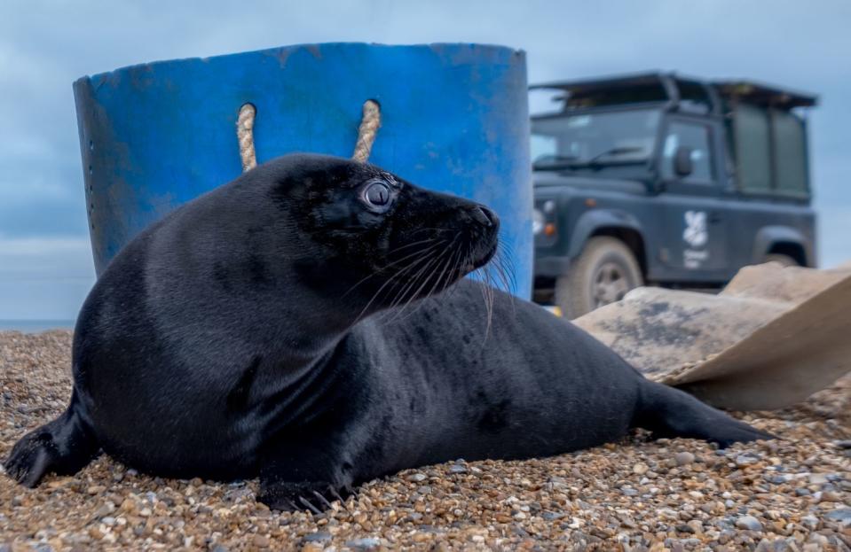 Photo credit: Hanne Siebers/The National Trust