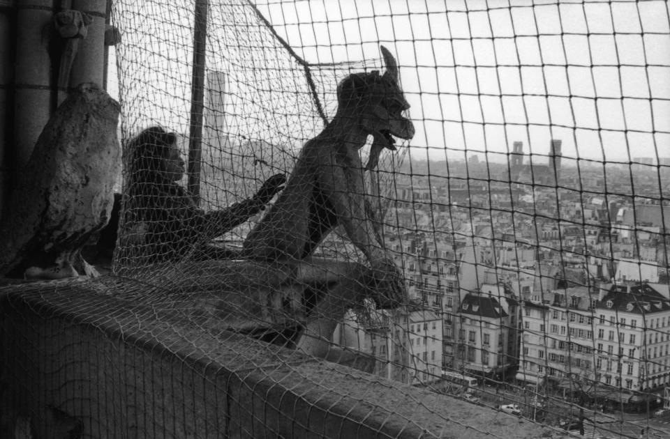 FRANCE - CIRCA 1989:  Paris, France in 1989 - Gargoyle on the Notre Dame Cathedral under a net.