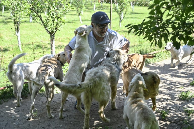 Doggy love: Sami Haxhaj with the 10 stray dogs he has adopted (Armend NIMANI)