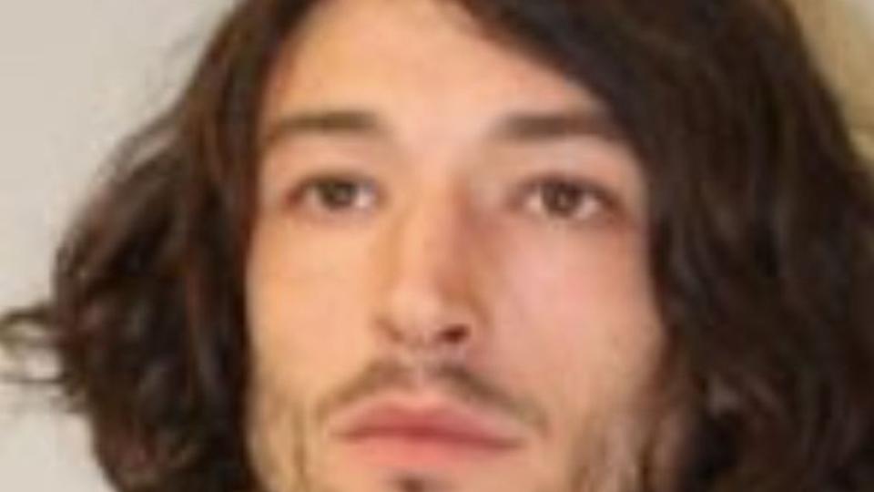 ezra miller hawaii arrest 2