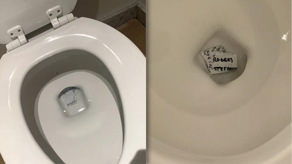 Photos showing torn pieces of paper in the bottom of toilets