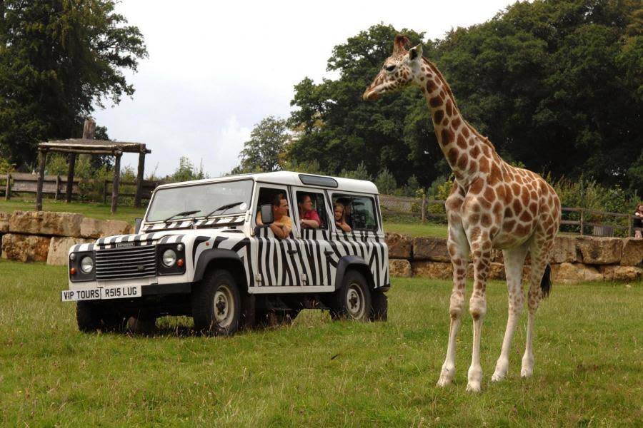 Safari: An exclusive two-day visit for a family of four to Longleat, set in the beautiful countryside of Wiltshire