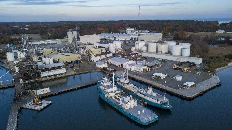 Omega Protein's Menhaden processing plant on Cockrell's Creek in Reedville, Va., Tuesday, Nov. 26, 2019. The last east coast fishery now produces fish oil for health supplements and faces a possible moratorium over concerns about overfishing in the Chesapeake Bay. (AP Photo/Steve Helber)