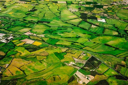   <span class="attribution"><a class="link " href="https://www.shutterstock.com/image-photo/aerial-view-green-farmland-countryside-226980499?src=Xzl6ieznLnbXjqK6T3AF5g-1-21" rel="nofollow noopener" target="_blank" data-ylk="slk:Stefano Garau/Shutterstock.com;elm:context_link;itc:0;sec:content-canvas">Stefano Garau/Shutterstock.com</a></span>