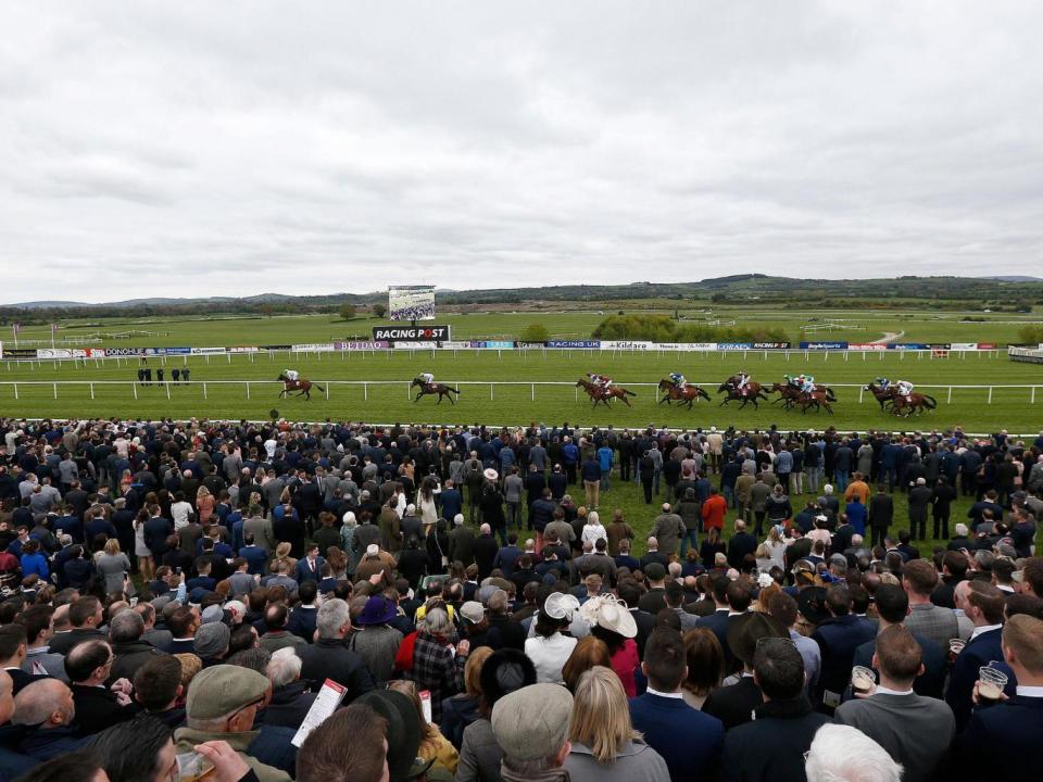 Punchestown, Ireland (Getty)