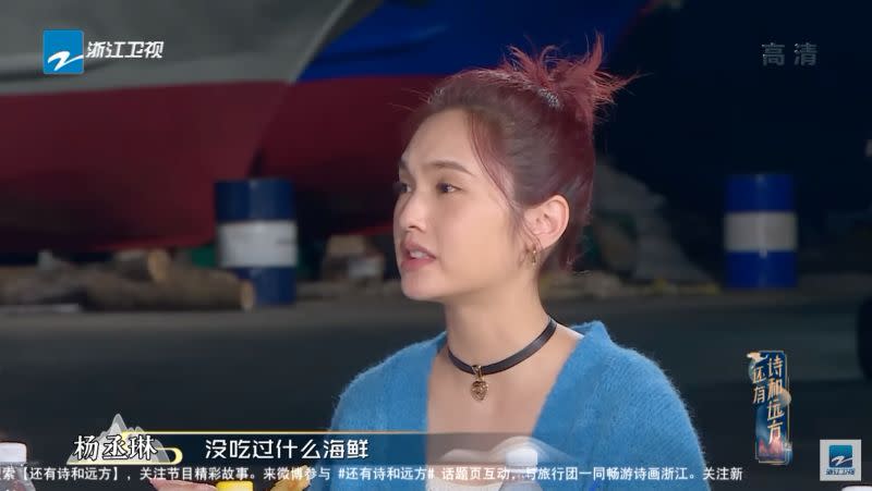 ▲楊丞琳在對岸綜藝節目上說「我在台灣沒吃過什麼海鮮，早年家裡的經濟壓力也挺大的，其實吃海鮮是奢侈的在那（台灣）」。（圖／翻攝自YouTube《中國浙江衛視官方頻道》）