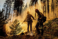 Firefighter Austin Cia sprays water as the Windy Fire burns in the Trail of 100 Giants grove in Sequoia National Forest, Calif., on Sunday, Sept. 19, 2021. (AP Photo/Noah Berger)