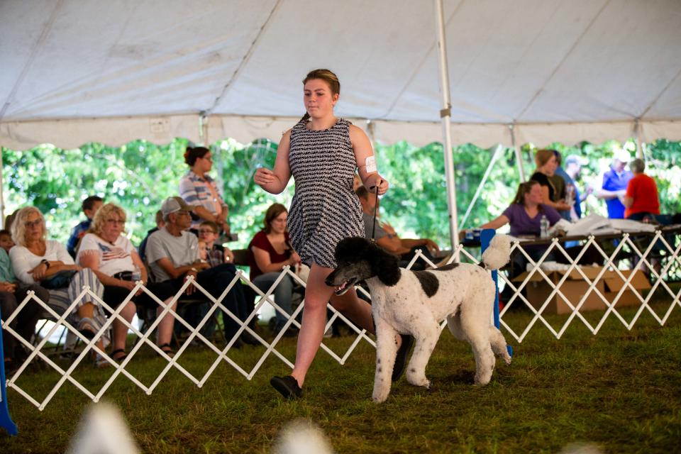Kenzie Horton shows her dog, Trainer, during a dog show at the Allegan County Fair on Thursday, Sept. 15, 2022.