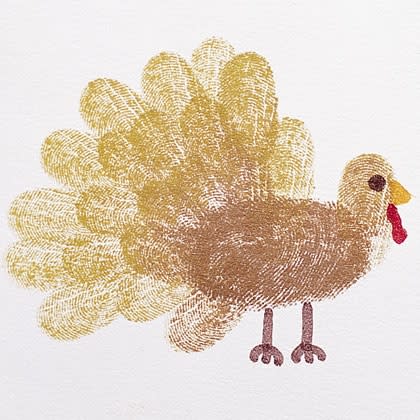 Fingerprint Turkey