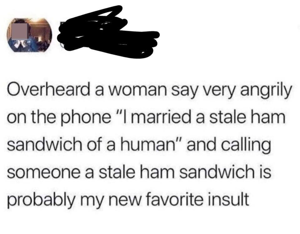 someone says a great insult is calling someone a stale ham sandwich of a human