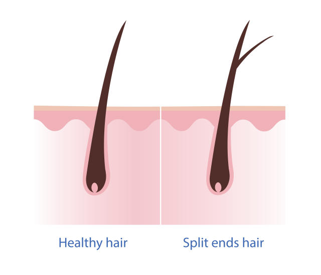 Dead Ends vs. Split Ends: Diagnosing and Caring for Curly Hair