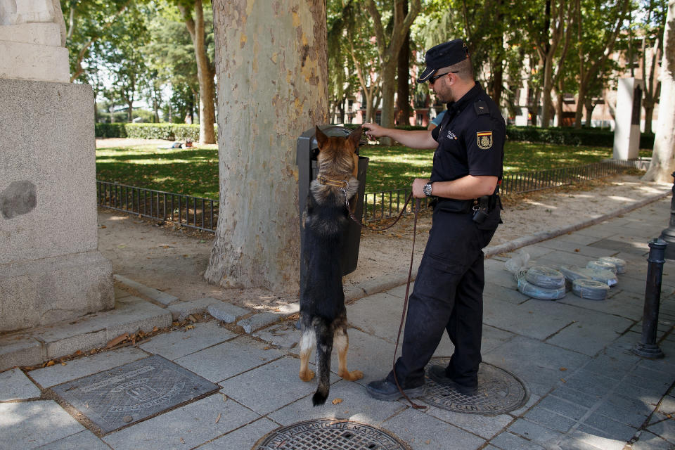 MADRID, SPAIN - JUNE 17:  A policeman working with a police dog checks a bin at Plaza de Oriente near the Royal Palace on June 17, 2014 in Madrid, Spain.  Prince Felipe will be crowned Felipe VI of Spain on June 19th after his father King Juan Carlos abdicated on June 2.  (Photo by Pablo Blazquez Dominguez/Getty Images)