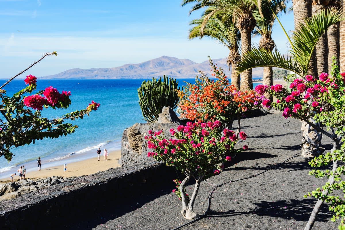 Lanzarote stays toasty into winter (Getty/iStock)