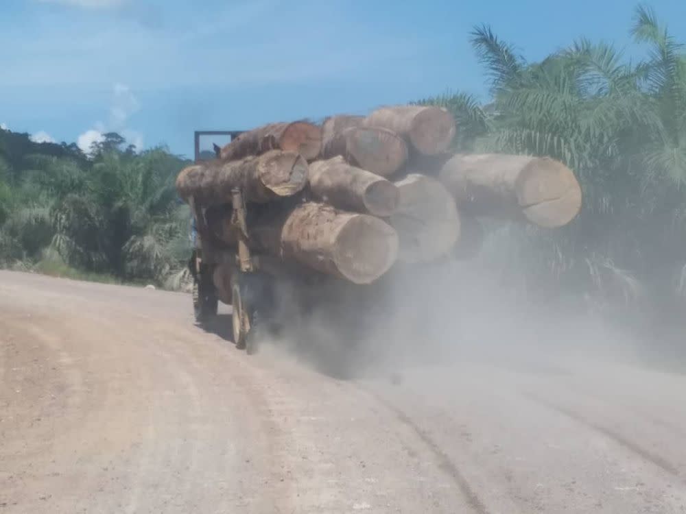 According to former chief minister Datuk Seri Yong Teck Lee, chief minister Datuk Seri Mohd Shafie Apdal’s current approach to ban the export of timber logs to keep supply for a domestic furniture industry was not a viable option for the state. — Picture courtesy of Chan Foong Hin