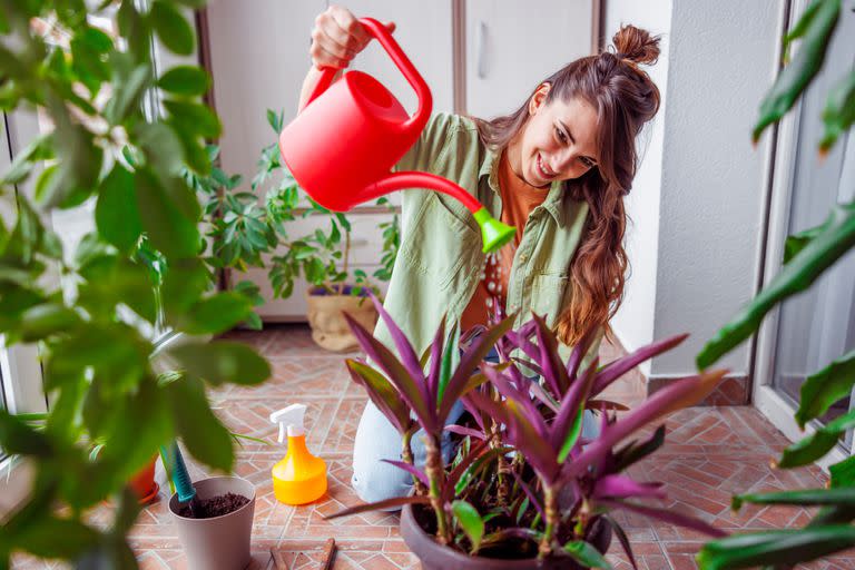 En un jardín hecho y derecho, pero también en una terraza, patio o balcón: siempre es posible tener un espacio de naturaleza. Beneficios para disfrutarlo de la mano de Club LA NACION.