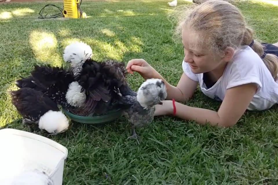 Summer's therapy chickens have helped her build social skills. Photo: Caters News