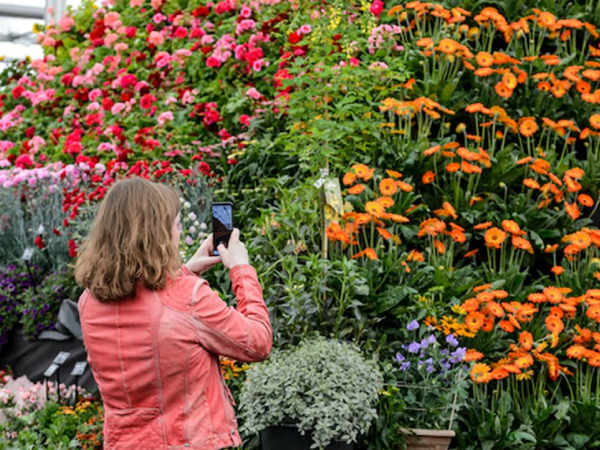 Brighten your mind with garden inspiration at beautiful Beaulieu (BBC Gardener’s World Live)