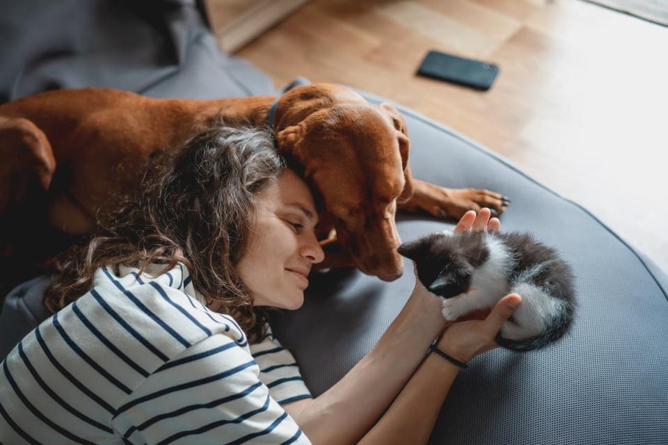 Bill aims to ensure landlords can not “unreasonably” block tenants’ requests to have pets. (Getty Images/iStockphoto)