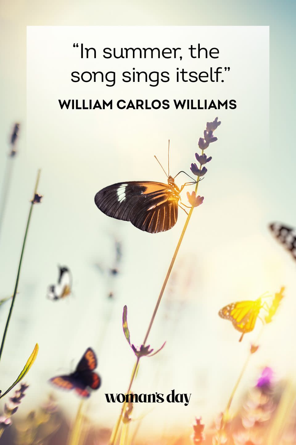 William Carlos Williams