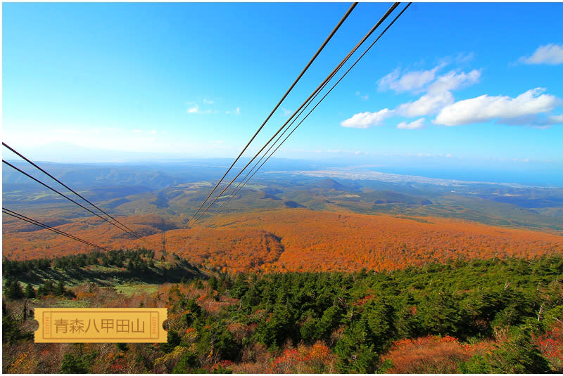 八甲田山紅葉絕景